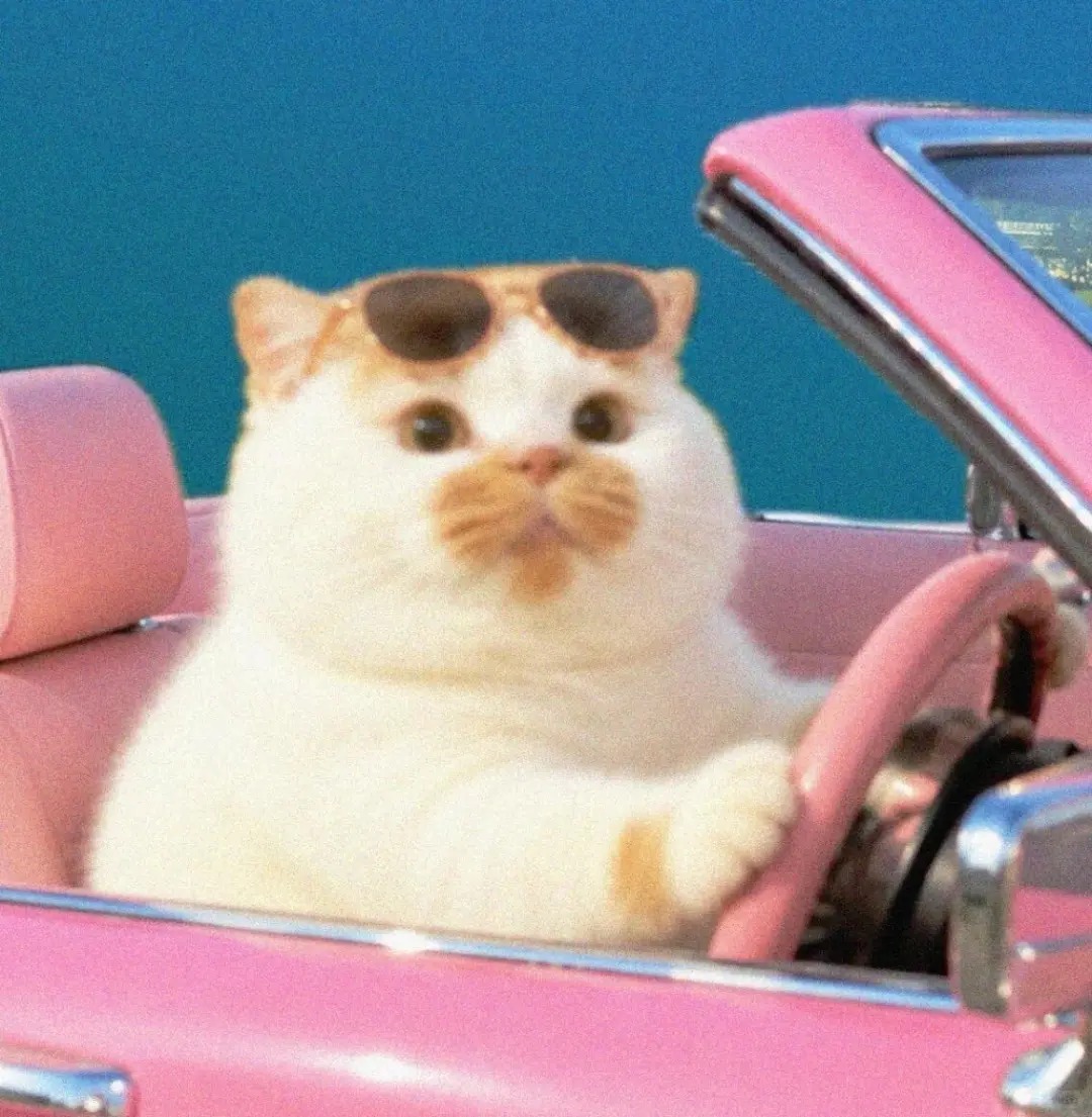 nnns